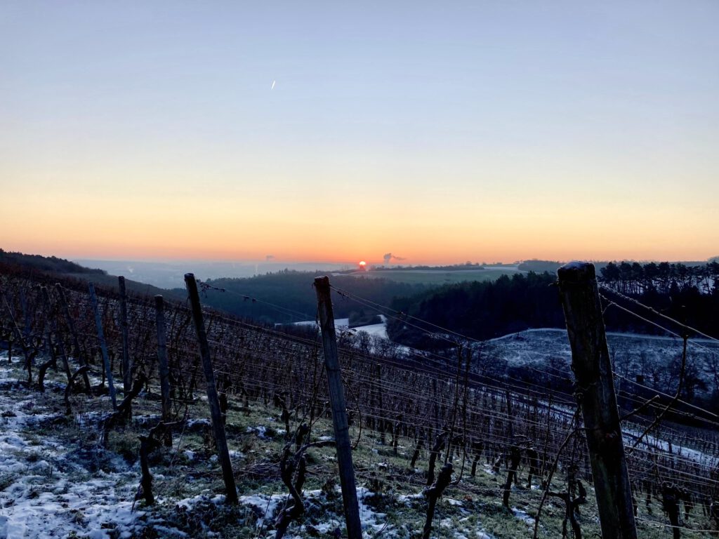 Blick über Weinberg